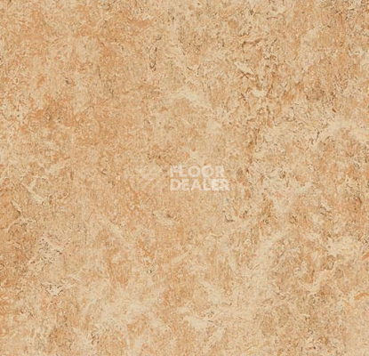 Линолеум Forbo Marmoleum Marbled Authentic 3075 shell фото 1 | FLOORDEALER
